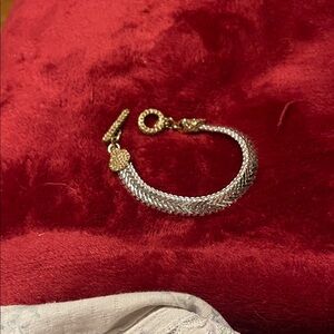 Banana Republic Silver and Gold Braided Bracelet